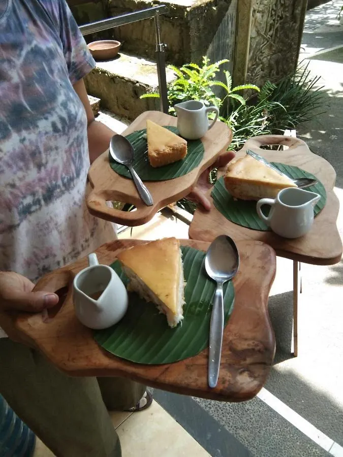 Hostal Albergue Yasa Backpackers House Ubud Indonesia